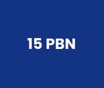 15 backlink pbn