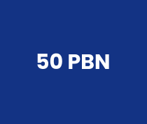 50 backlink pbn