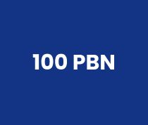 100 backlink pbn